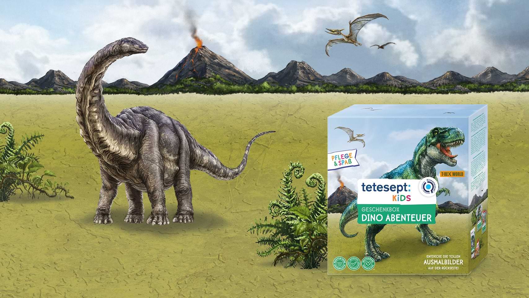 tetesept Kids Desktop